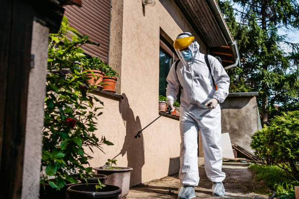 Best Pest Control Near Me in Indian Hills, KY