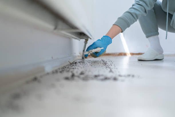 Best Cockroach Control Services  in Indian Hills, KY